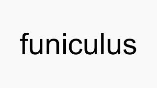 How to pronounce funiculus [upl. by Atiuqan]