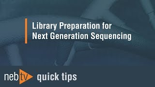 Quick Tips  Adding the lysis buffer for the PCR in the NEBNext RNA workflow [upl. by Aikenat136]