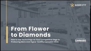 From Flowers to Diamonds Part 1 [upl. by Ekud]