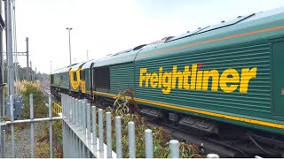 Freightliner class 66 double header at Acton main line [upl. by Crockett]