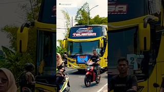 TSUBASA NIH ‼️tsubasa tisalgrub basuri busmania buspariwisata subscribe ets2shortsviral fyp [upl. by Aneeg]