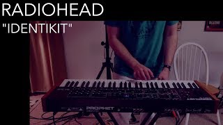 Radiohead  Identikit Cover by Joe Edelmann [upl. by Elna]