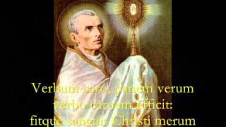 Pange Lingua Gloriosi  Catholic Hymns Gregorian Chant [upl. by Sivrep]