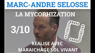 310  MarcAndré SELOSSE  La Mycorhization  LEndomycorhize à arbuscule [upl. by Sudhir]