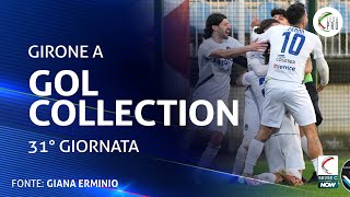 La Gol Collection della 31° giornata del Girone A [upl. by Fast]