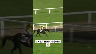 Galopin DeChamps wins the 2024 Cheltenham Gold Cup youtubeshorts horseracing horse racing fyp [upl. by Joete]