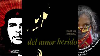 Alfredo Zitarrosa Del amor herido 1967 Disco Completo [upl. by Nylitak647]