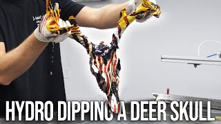 How to HYDRO DIP a Deer Skull [upl. by Aderfla120]