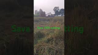 Sava 7301 Dhan Cutting suru paddy agriculture automobile paddy159 paddys agriculturetoday kvk [upl. by Iggam847]