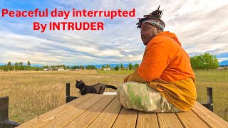 Peaceful Van life day Interrupted by Intruder [upl. by Gard]