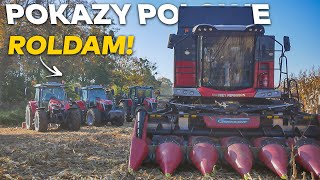 ☆Pokazy Polowe z firmą RolDam☆Massey Ferguson☆Amazone☆Rolex☆Geringhoff☆AgroGrzechu☆ [upl. by Enak]