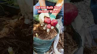 FUN amp EASY Way to Grow Potatoes  Container Vegetable Gardening [upl. by Godbeare]