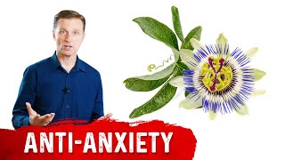 Passion Flower as a Natural Sedative [upl. by Doolittle]