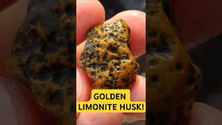 Golden Agate Gem Limonite Husk 🏆💰💎✨ [upl. by Caravette]