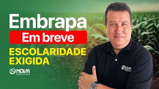 QUEM PODE FAZER O CONCURSO DA EMBRAPA 2024 ENTENDA OS NÍVEIS DE ESCOLARIDADE EXIGIDOS [upl. by Ribak]