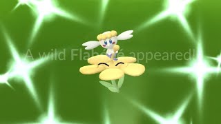 Shiny Flabébé amp Cottonee Hunt [upl. by Aicilef]