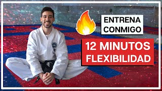 GANAR FLEXIBILIDAD  Rutina COMPLETA  AUMENTAR FLEXIBILIDAD PARA PATEAR MAS ALTO 🔥 [upl. by Miru]