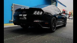 MUSTANG GT with Borla ATAK Exhaust Start up  Rev  Acceleration [upl. by Clair]