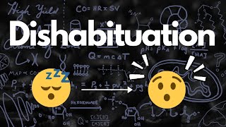 Dishabituation Surprisingly Important  MCAT [upl. by Hirza]