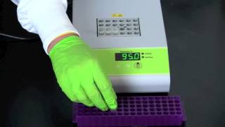 Alu PV92 Detection by PCR [upl. by Warwick]