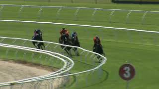 Heat 14 Doomben Jumpouts 0611 [upl. by Daraj]