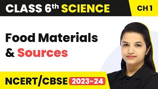 Class 6 Science Chapter 1  Food Materials and Sources  Food Where Does It Come From [upl. by Gnol]