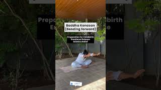 Yoga 5 Essential Yoga Asanas for Beginners  Improve Flexibility and Strength l [upl. by Tohcnarf]