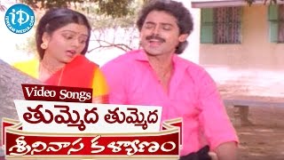 Srinivasa Kalyanam Songs  Tummeda Tummeda Video Song  Venkatesh Bhanupriya  K V Mahadevan [upl. by Crin]