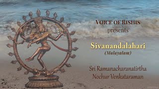 14 ശിവാനന്ദലഹരി by ശ്രീ നൊച്ചൂർ സ്വാമി । Sivananda Lahari by Sri Nochur Acharya Malayalam [upl. by Mooney]