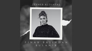 Pınar Başından Bulanır [upl. by Weywadt]