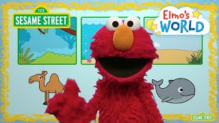 Sesame Street Elmo Explores Animal Habitats  Elmo’s World [upl. by Dez]