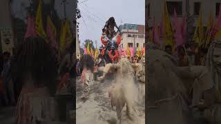 Bam lahari song music aghori kailashkher mahakal shortsfeed bamlahri babambam [upl. by Dnumde]