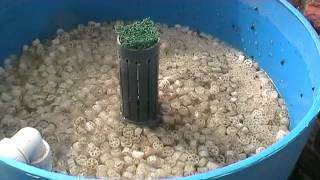 DIY Homemade Pond Filter That Works by Tel Part 2 Cleaning The Filters [upl. by Mashe508]