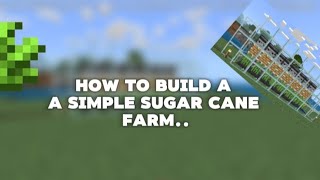 How to build a simple automatic sugar cane farmBedrock and Java [upl. by Llertnek]