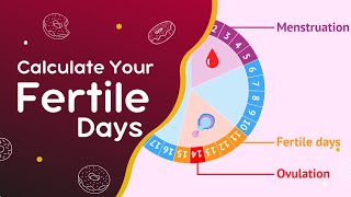 How to know about fertility days  safe days  pregnancy come  regular periods  infertility [upl. by Eudoxia25]