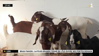 Le ministre de lAgriculture Marc Fesneau inaugurera samedi la Foire agricole de Bras Panon [upl. by Adnik]