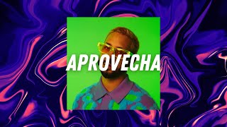 Mora x Rauw Alejandro Reggaeton Type Beat 2024  APROVECHA👀  Alex On The Beat [upl. by Hatty]