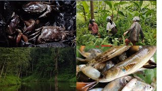 A day with friends👭 🥰  Catching Fish🐟 Crab🦀🦀 amp Taking bamboo shoots [upl. by Jude494]