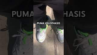 Puma Velophasis  Full video out below PUMA 🐈‍⬛ [upl. by Imim]