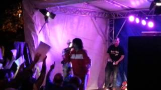 Ikke Hüftgold  Hackevoll durch die Nacht Live Altstadtfest Salzgitter Bad 2014 [upl. by Lavinia589]