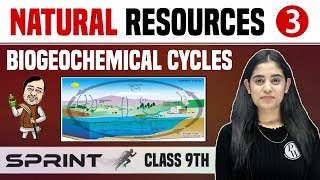 Natural Resources 03  Biogeochemical Cycles  Class 9  NCERT  Sprint [upl. by Nyrroc948]