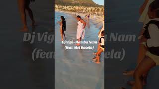 Dj Vigi  Hamba Nam feat Mel Bacela [upl. by Marella]