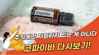 코파이파 활용법  copaiba 면역력 향상에 도움이 되는 코파이바 오일 [upl. by Emya]