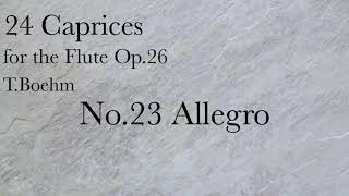 TBöhm24 Caprices For FLUTE No23 Allegro [upl. by Lunneta]