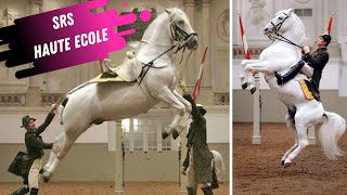 Spanish Riding School Haute Ecole Airs Above The Ground White Lipizzaner Stallions [upl. by Nyluqcaj]