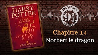 Norbert le dragon Harry Potter 1 chapitre 14 [upl. by Tenaej]