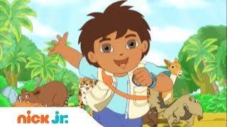 Go Diego Go  Música de abertura 🎤  Nick Jr [upl. by Nnylear]