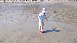 Lots of Sea Shells at Silver Sands Beach ⛱️ Aberdour [upl. by Iny]