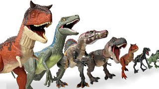 GIANT Haul of the BEST Jurassic World Carnivores  TRex Indominus Rex Velociraptor and More [upl. by Ilehs]