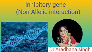 Inhibitory gene Non Allelic interaction [upl. by Atirys]